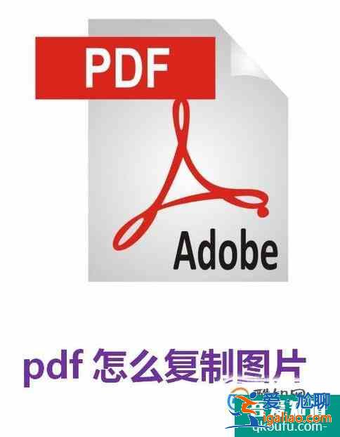 pdf怎么复制图片？