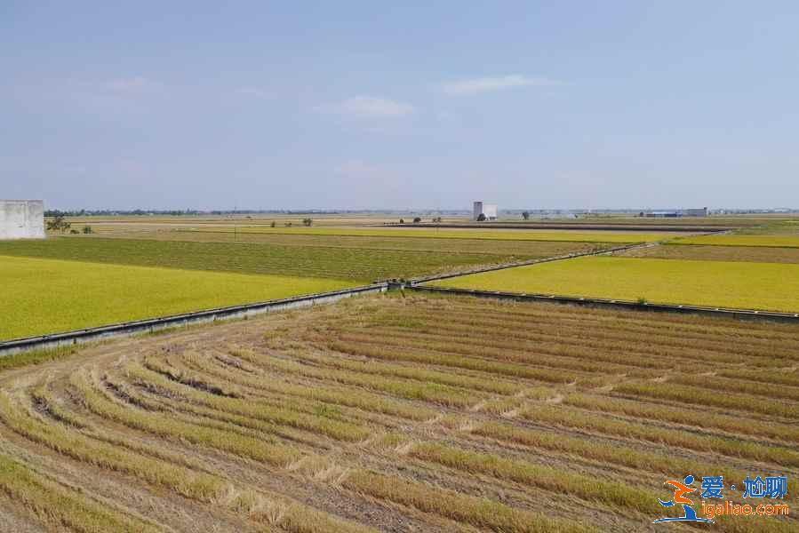 吉隆坡周边游去哪玩，吉隆坡周边游玩怎么玩，吉隆坡周边游景点推荐？