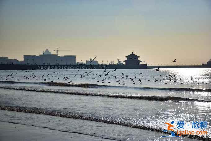 青岛一日游该去哪玩，青岛一日游怎么玩，青岛一日游攻略？