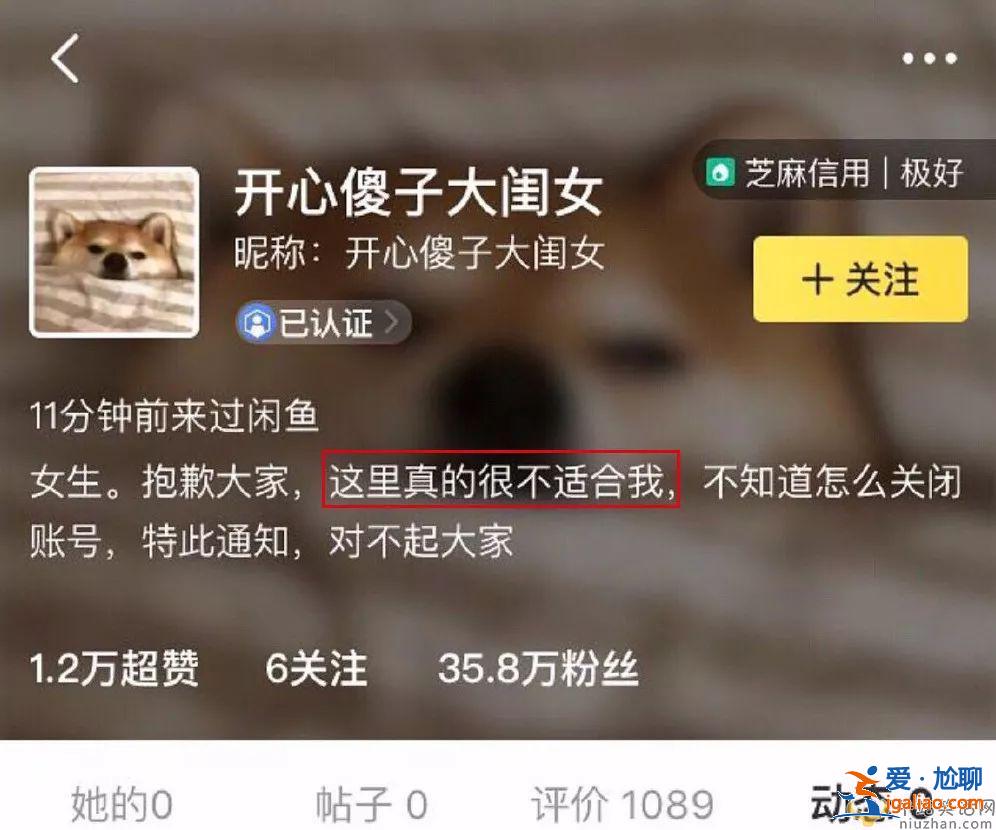 【娱乐热点】 言论自由？王源、那英等纷纷发声抵制网络暴力