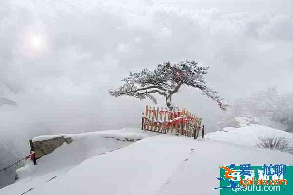 冬天应该去哪些地方看雪景？