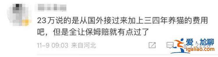 是2-3万 保姆未关门窗？