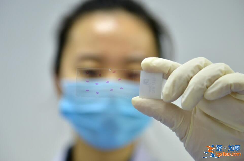 核酸机构停止接收样本？河南当地回应 因试剂耗材费用较高？？