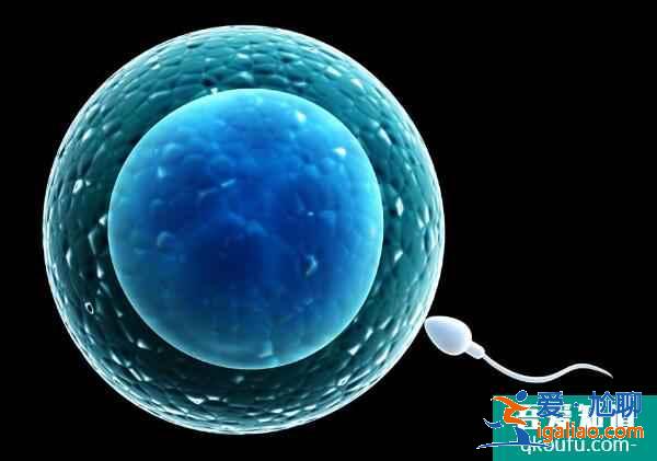 赴美做试管婴儿如何获得健康囊胚？专家：关键在这三步？