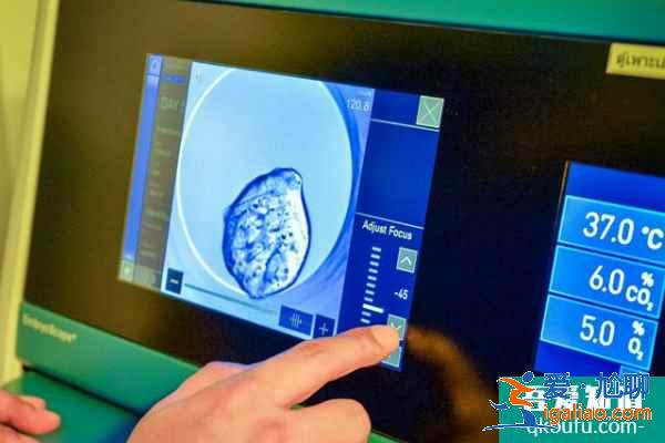 赴美做试管婴儿如何获得健康囊胚？专家：关键在这三步？
