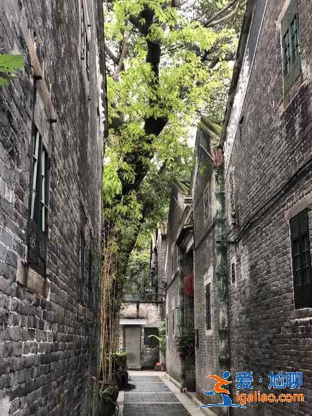 细数广州那些景美人少的小众景点,广州小众景点有哪些值得去? 细数广州那些景美人少的小众景点,广州小众景点有哪些值得去?