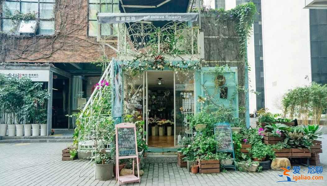 深圳新晋网红景点打卡，深圳网红景点一日游，深圳一日游网红景点攻略？
