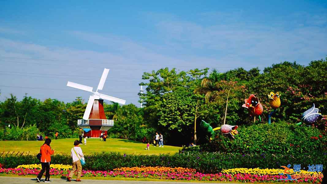 深圳新晋网红景点打卡，深圳网红景点一日游，深圳一日游网红景点攻略？