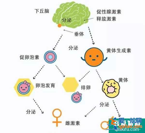 年轻女性做试管婴儿，心理状态是成败的关键！？