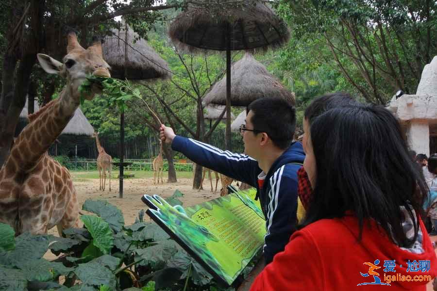 出发广州长隆旅游度假区前需要注意什么，广州长隆旅游度假区行前指南？