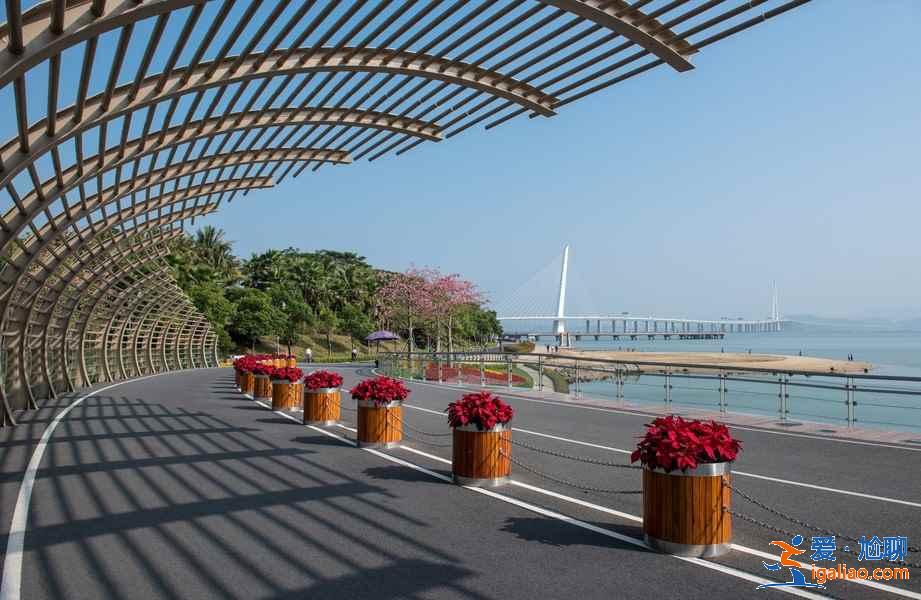 深圳徒步好去处，深圳徒步一日游玩法，深圳徒步当天来回？