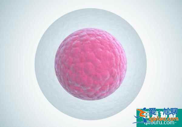 女性结扎后能不能赴美做试管？如何实现生子梦想？？