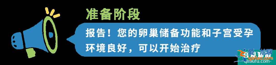 B超检查在试管婴儿周期中都起到什么作用?IVF专家为您解析！？