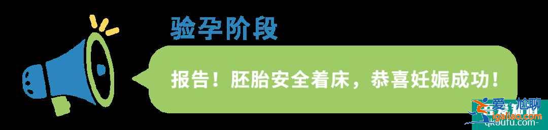 B超检查在试管婴儿周期中都起到什么作用?IVF专家为您解析！？