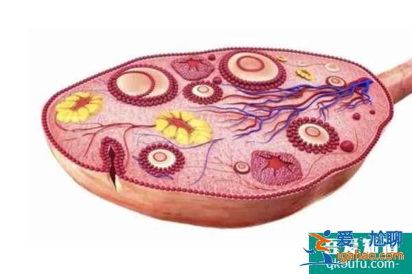 大龄女性去做试管婴儿，有哪些优势呢？？