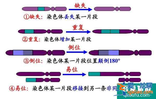 科普染色体异常的种类，第三代试管婴儿为后代的健康把关？