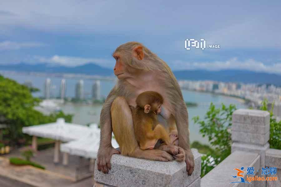 三亚鹿回头风景区值得去吗？三亚鹿回头风景区游玩大解析？