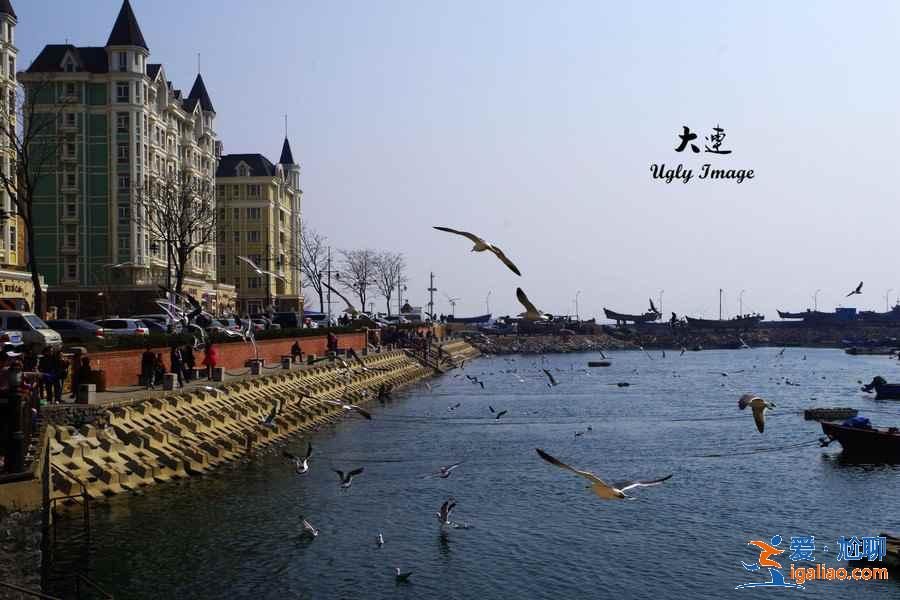 大连一日游去哪玩，大连一日游怎么玩，大连一日游攻略？