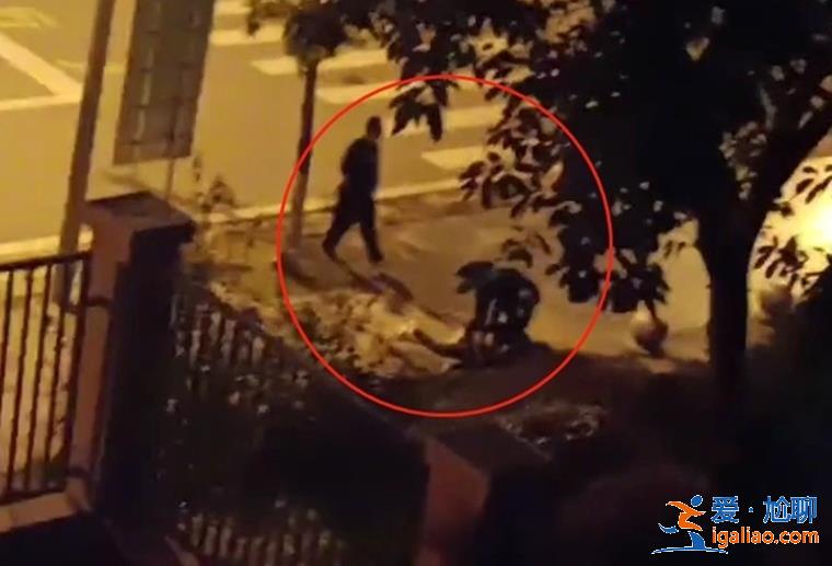 警方回应两男子追赶推倒女子 原来是因这事！？