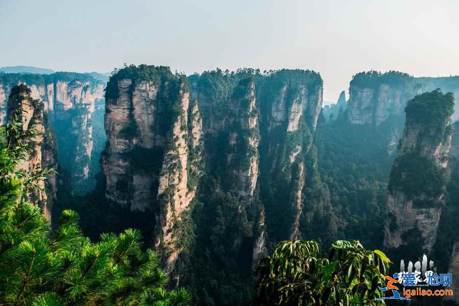 盘点：张家界热门景点，张家界必去景点，张家界景点大全？