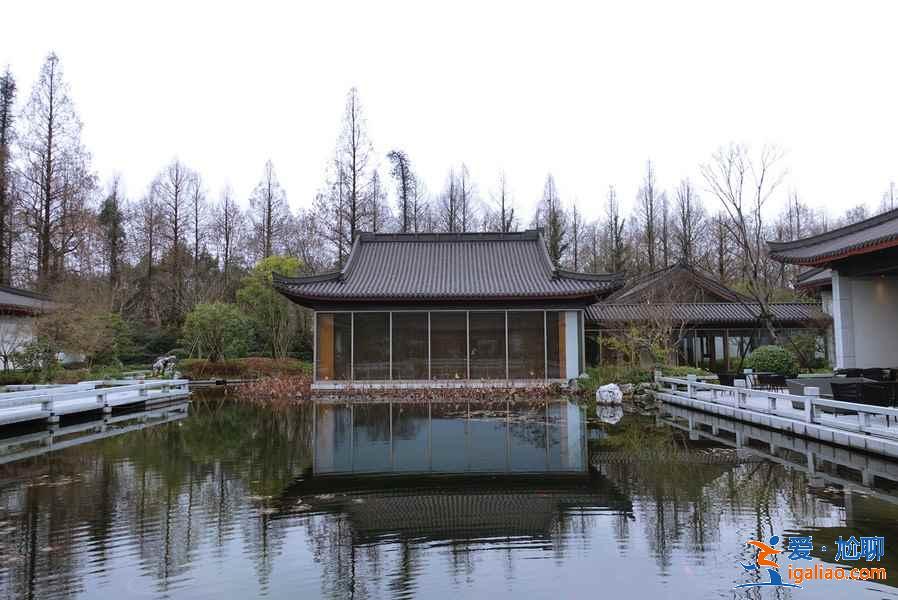 春节和家人去杭州哪好玩，春节全家去杭州玩法，春节和家人去杭州怎么玩？
