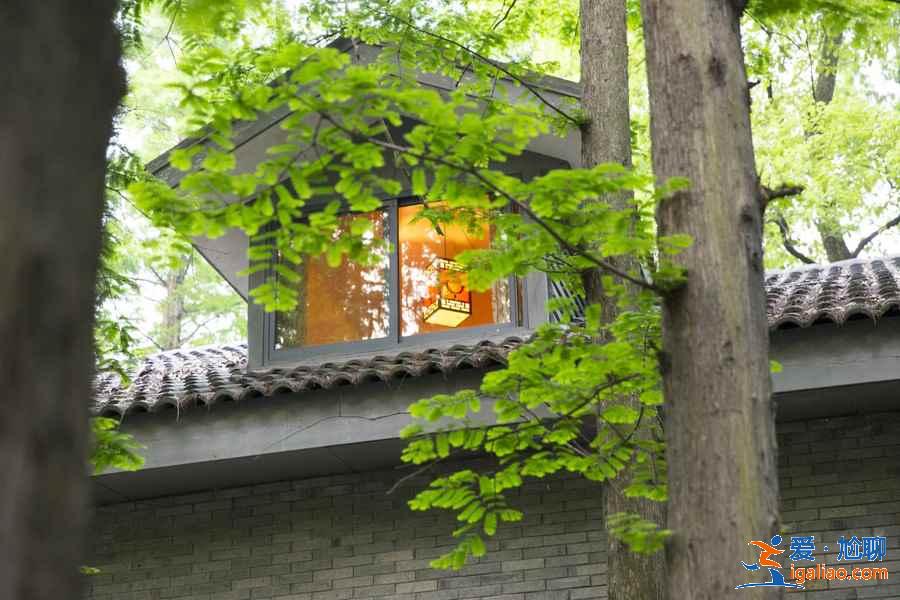 西湖一日游路线，西湖一日游怎么安排，西湖一日游如何规划？