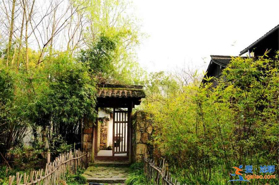 春节和家人去杭州哪好玩，春节全家去杭州玩法，春节和家人去杭州怎么玩？
