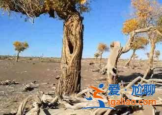 中秋三天去哪玩，2018中秋节三天去哪里玩好？