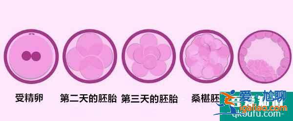 大龄女性去做试管婴儿的注意事项有哪些？如何实现好孕？？