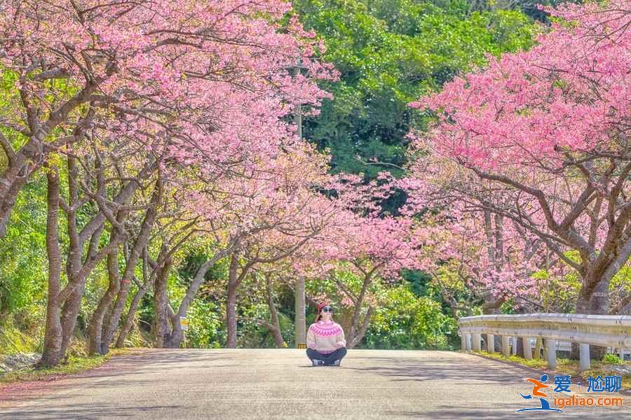 冲绳三日游怎么玩，冲绳三日游去哪里，冲绳三日游攻略？