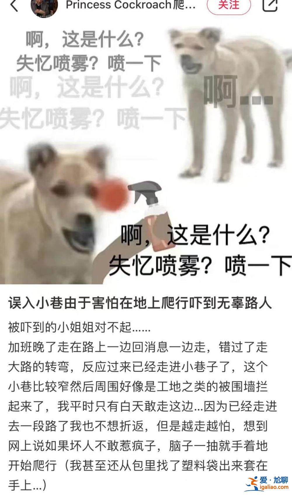 发疯文学照进现实？年轻人开始“爬行养生” 爬来爬去真的有益健康吗？