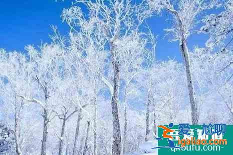 冬天哪里的雪景最美 这三大地方冬季必去？