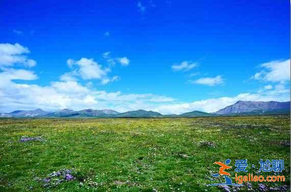 中国最美的草原在哪里，中国最美的七大草原？
