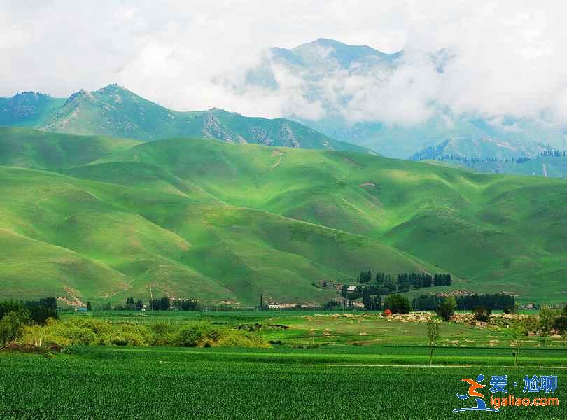 中国最美的草原在哪里，中国最美的七大草原？