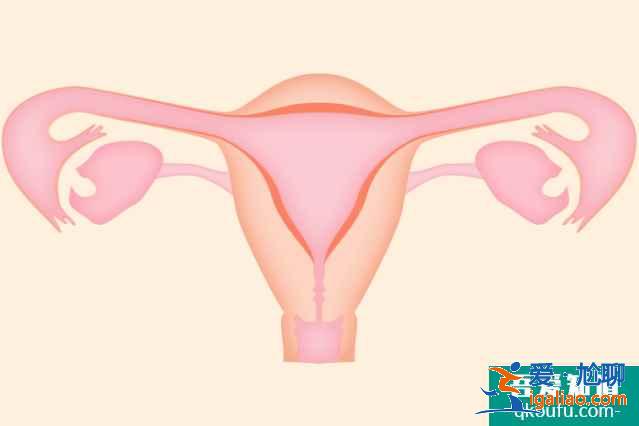 导致女性不孕的原因有哪些？泰国试管婴儿如何解决？？