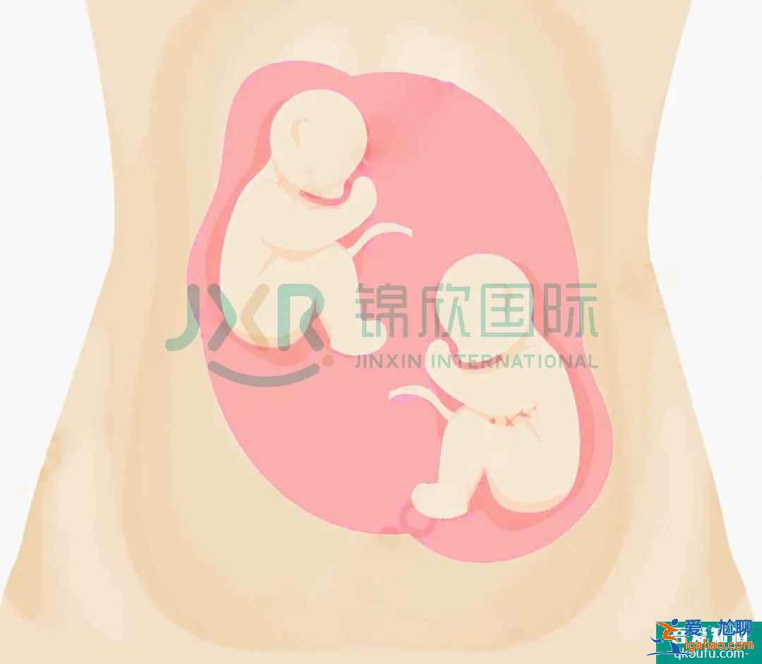试管专家告诉你：如何怀双胞胎，你怀双胎的几率高吗？？