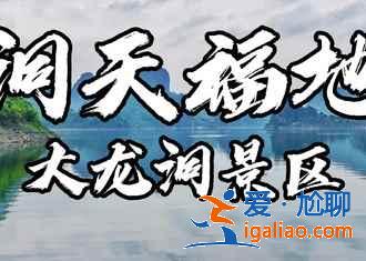 【南宁上林向日葵】上林葵花什么时候开，上林向日葵在哪里？