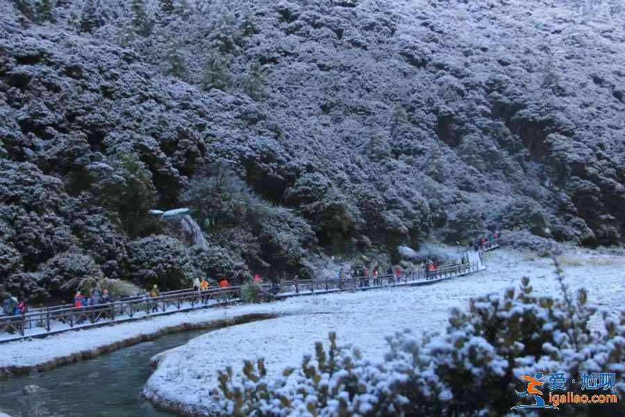 稻城亚丁9月飘雪,银装素裹美cry? 稻城亚丁9月飘雪,银装素裹美cry?