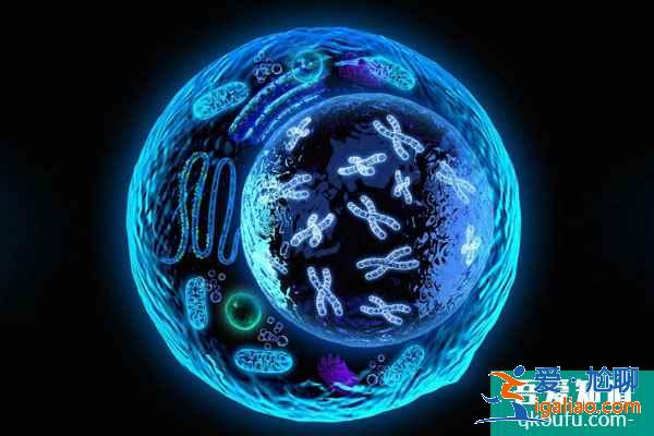 国人选择试管婴儿，其原因可总结为以下5点？