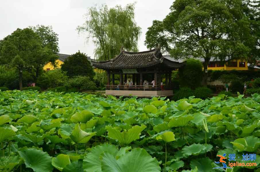 绍兴中秋节哪里好玩，2017中秋节去绍兴哪里玩？