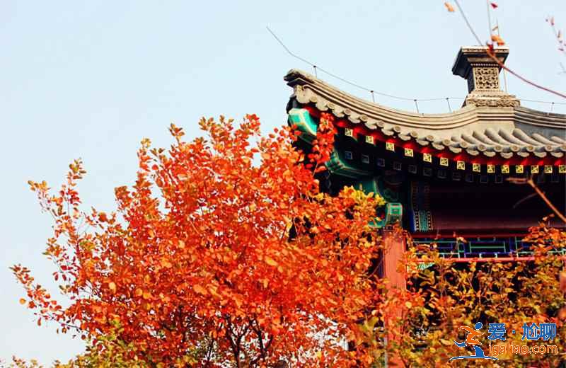 【国庆北京香山红叶能看吗】北京国庆节去哪里看红叶，国庆节北京看红叶的地方？