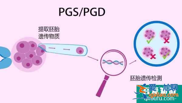 试管婴儿专家：赴美IVF前远离辐射、提高精卵质量？