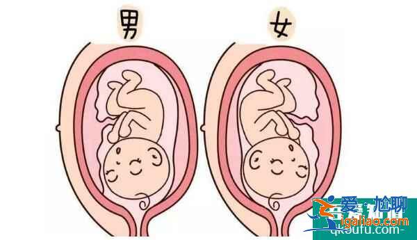 都说去做试管婴儿的性价比非常高，体现在哪些方面？？