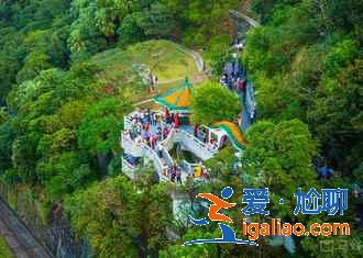 春节去香港怎么玩,春节去香港行程安排推荐? 春节去香港怎么玩,春节去香港行程安排推荐?