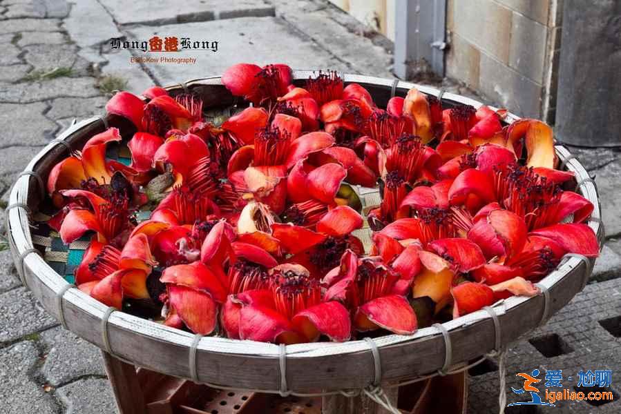 春节去香港怎么玩,春节去香港行程安排推荐? 春节去香港怎么玩,春节去香港行程安排推荐?