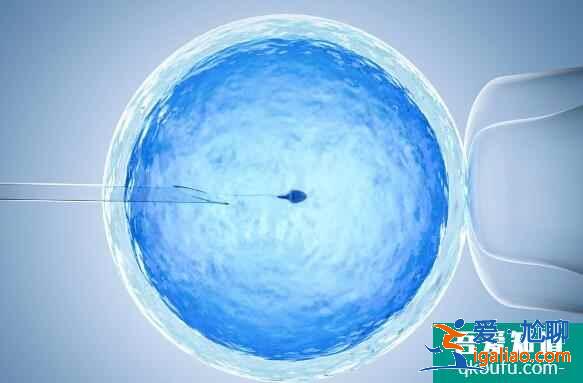 试管中囊胚移植的优势在哪里？有哪些方法能提高妊娠率？？