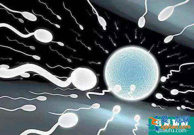 第二代试管婴儿全过程要多久？费用多少？？