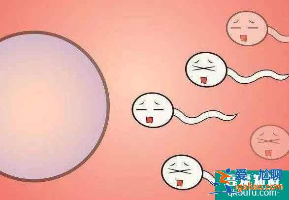 做试管婴儿前我们需要注意什么？试管过程哪些是不能做的？？