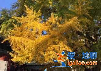 【郑州十一天气】2018郑州十一天气如何，2018郑州十一天气预报？