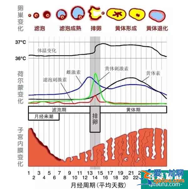卵巢储备不足，赴美做试管婴儿能成功吗？？